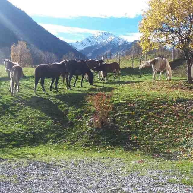 Les Chalets D'Aure. อาร์กานูว์เอต์ ภายนอก รูปภาพ
